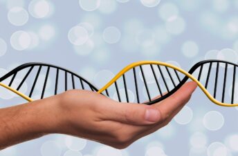 dna, adn, deoxyribonucleic acid-1500076.jpg